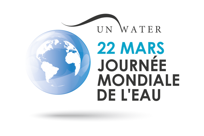 La journée mondiale de l’eau
